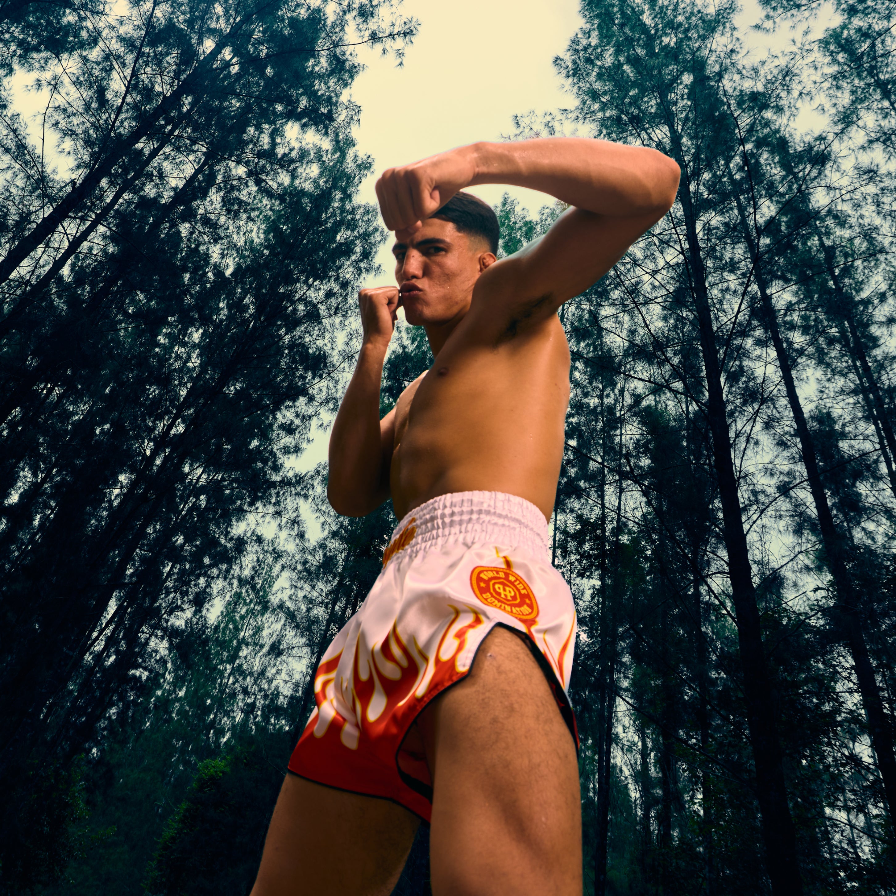 PRYDE