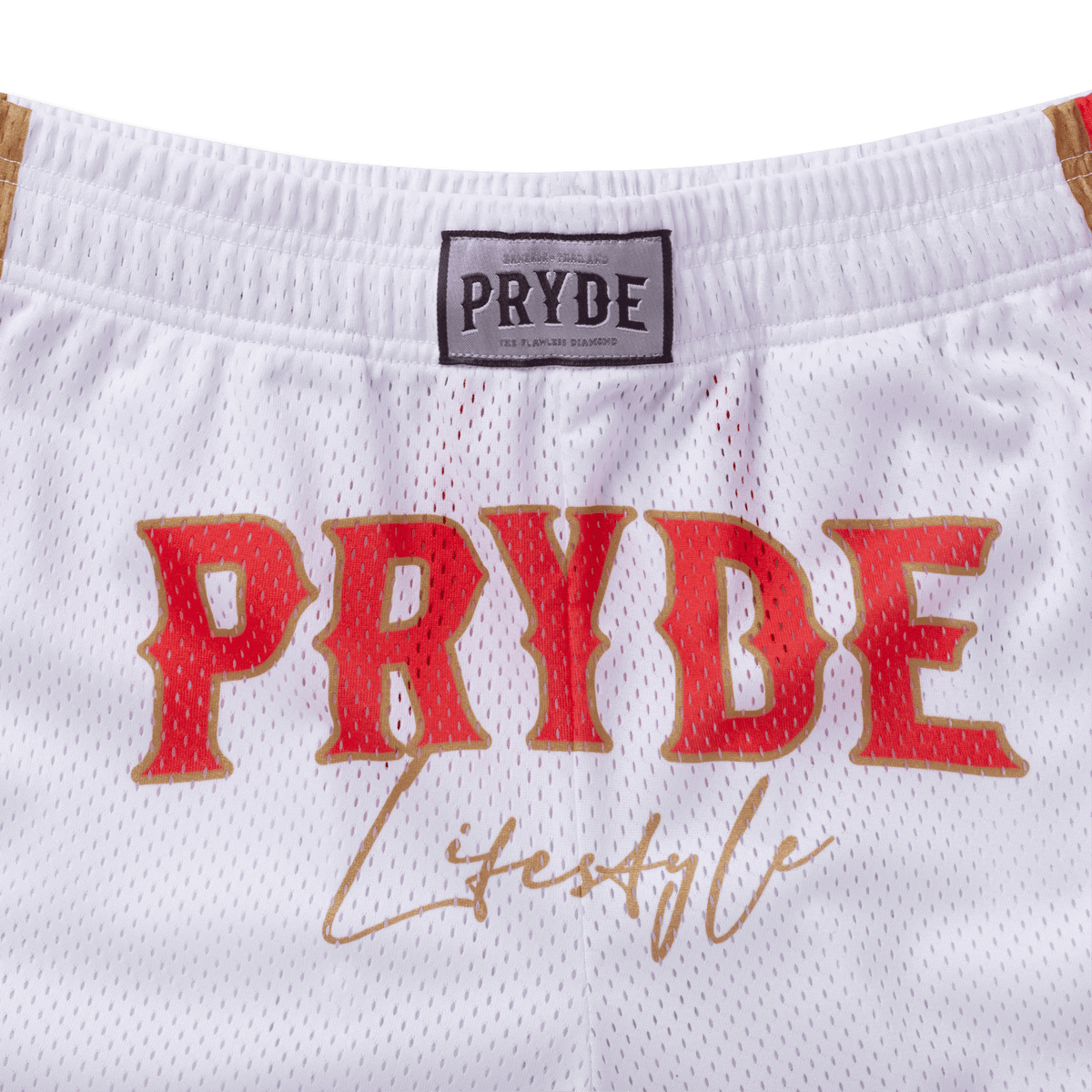 PRYDE CHILL SHORTS-thumbmail-18